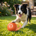 Pelota interactiva recargable para perros